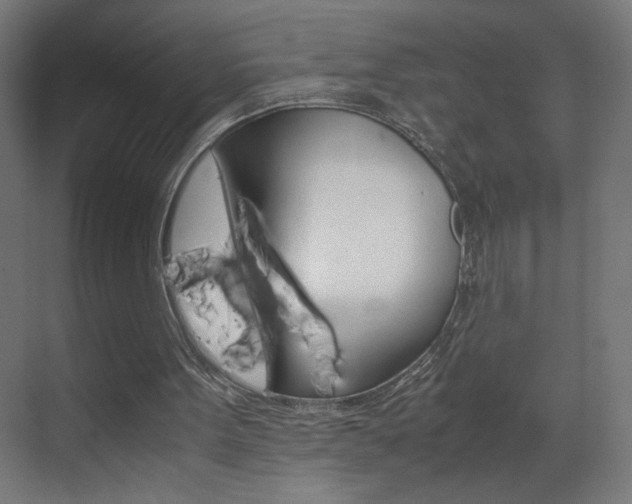 X0000070170099200605261015