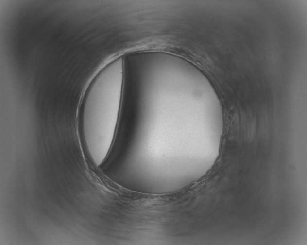 X0000070170100200605261015