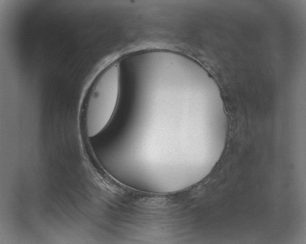 X0000070170104200605261015