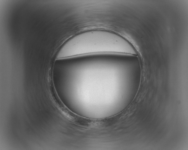X0000070170105200605261015