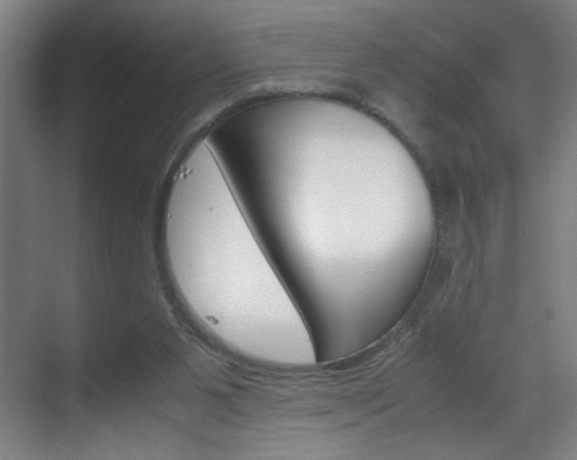 X0000070170111200605261015