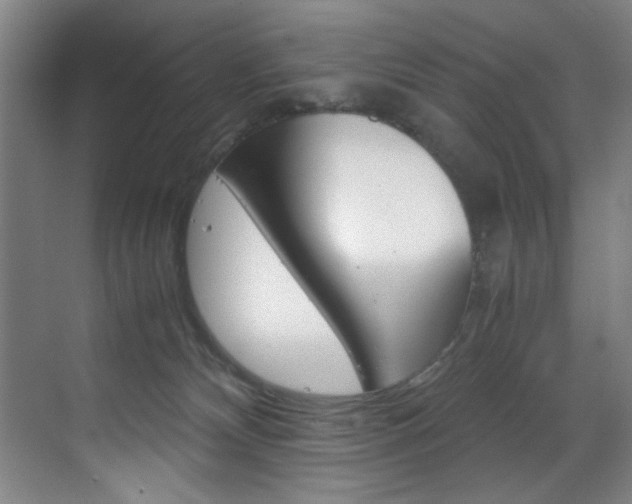 X0000070170132200605261014