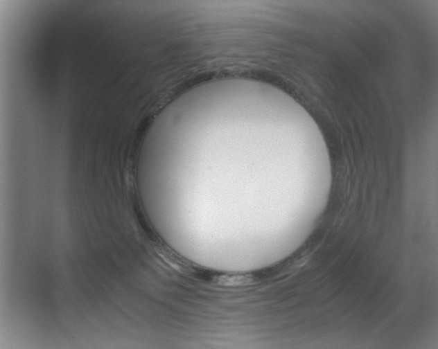 X0000070170135200605261014