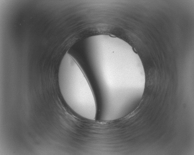 X0000070170140200605261014