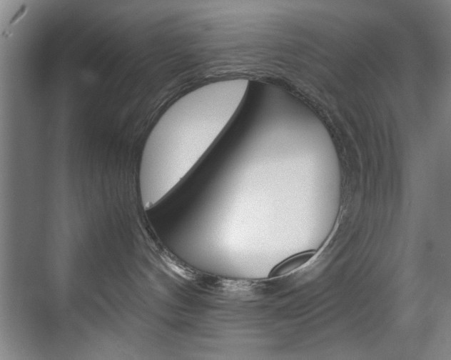 X0000070170144200605261014