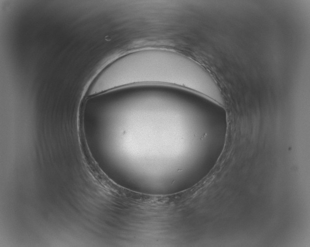 X0000070170148200605261013