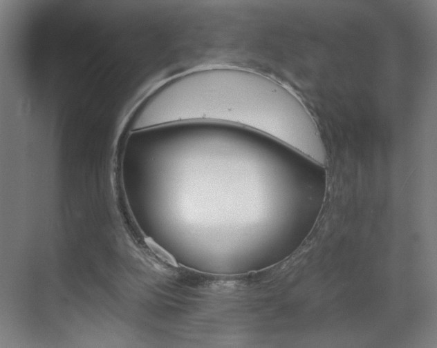 X0000070170152200605261013