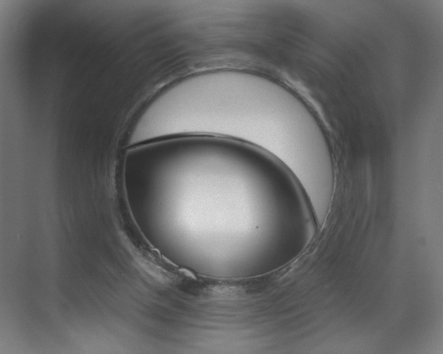 X0000070170154200605261013