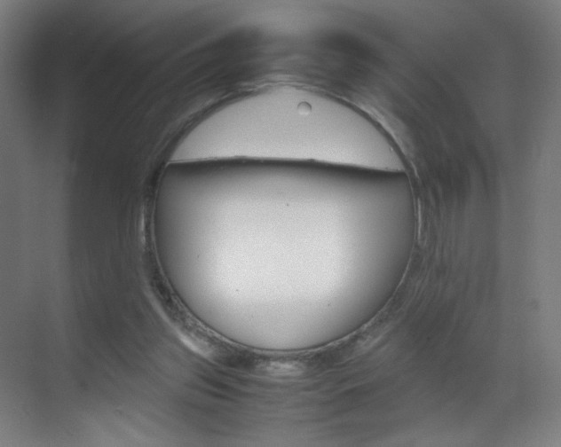 X0000070170157200605261013