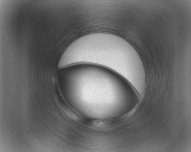 X0000070170174200605261014