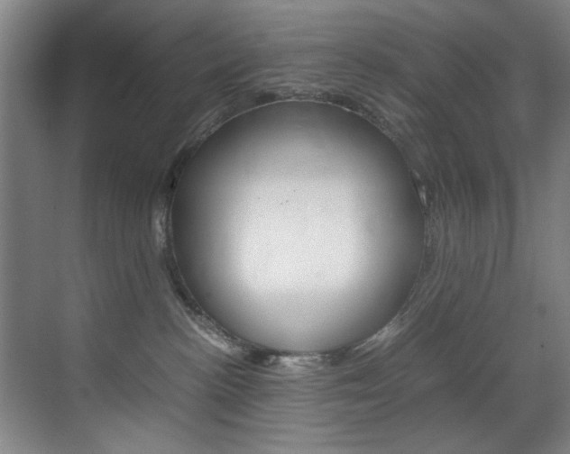 X0000070170188200605261014