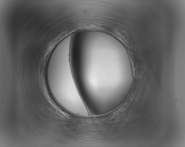 X0000070170193200605261013