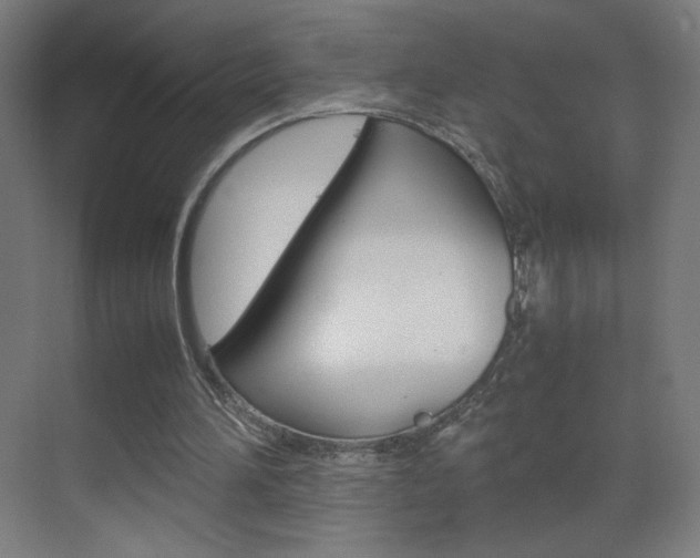 X0000070170196200605261013