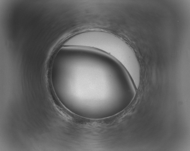 X0000070170197200605261013