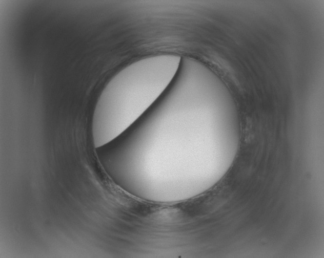 X0000070170210200605261013