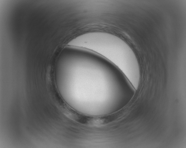 X0000070170217200605261013
