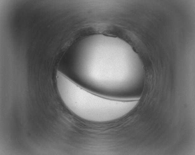 X0000070170221200605261013