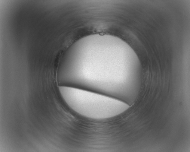 X0000070170222200605261013