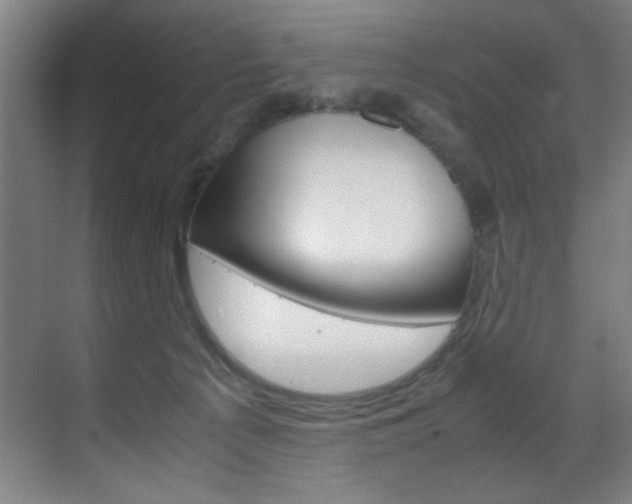 X0000070170225200605261013