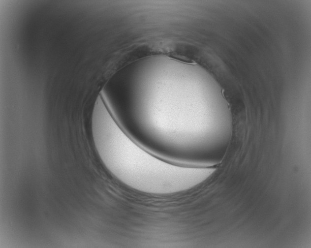 X0000070170229200605261013