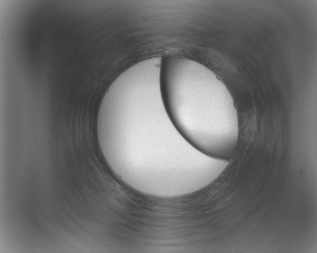 X0000070170230200605261013