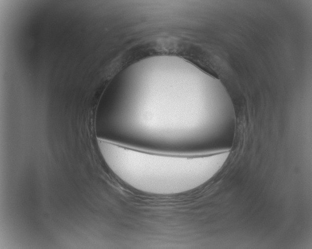 X0000070170233200605261012