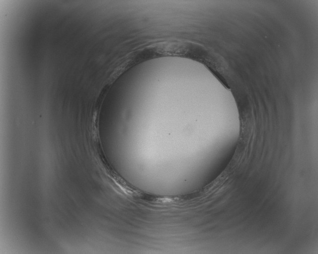 X0000070170239200605261012