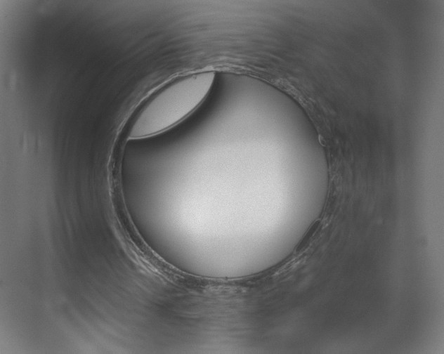 X0000070170242200605261012