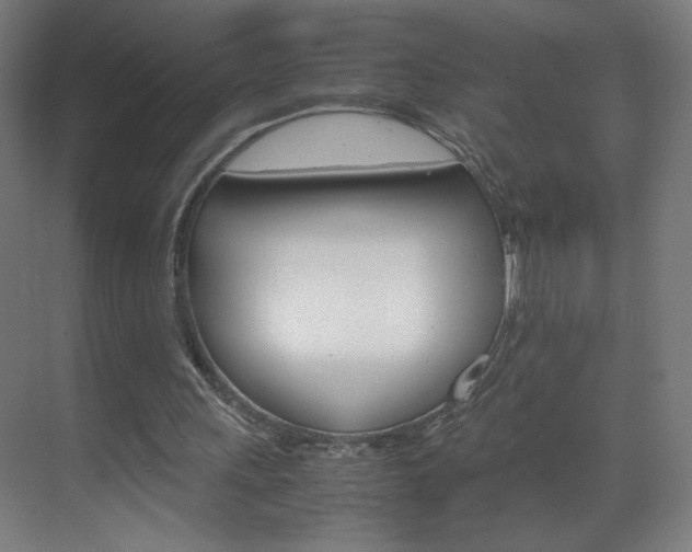 X0000070170243200605261012