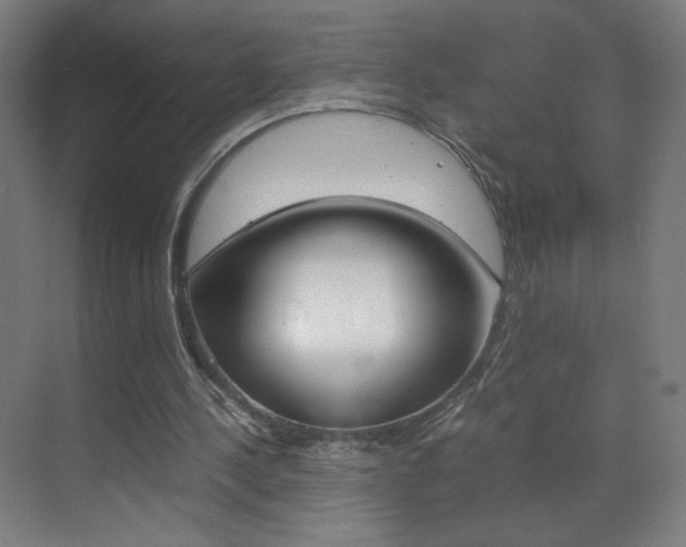 X0000070170244200605261012