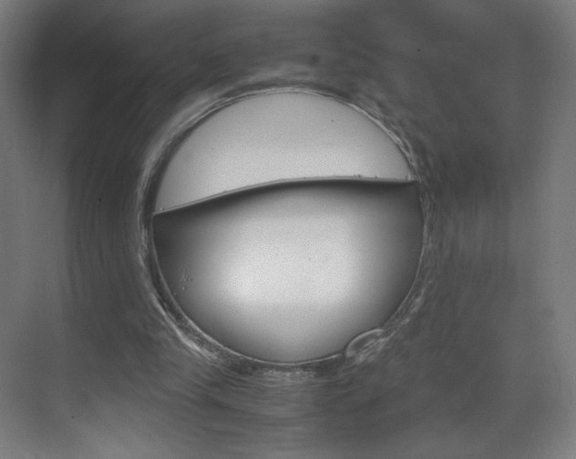 X0000070170245200605261012