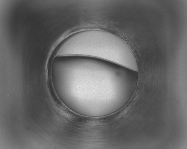 X0000070170246200605261012