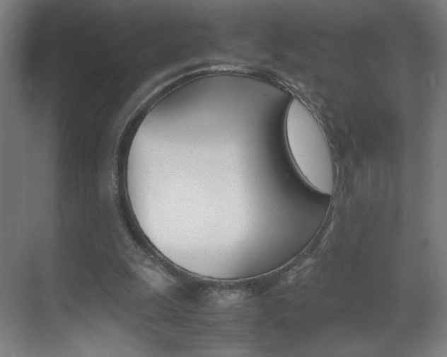 X0000070170247200605261012