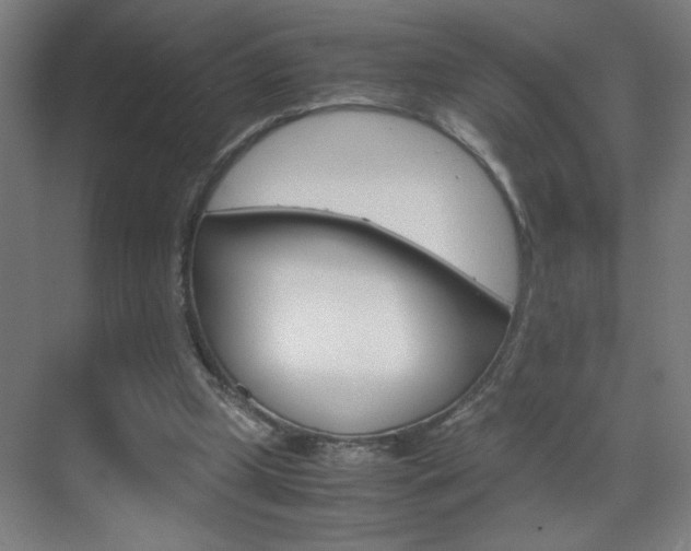 X0000070170249200605261012
