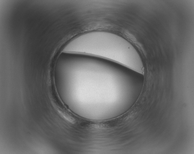 X0000070170250200605261012