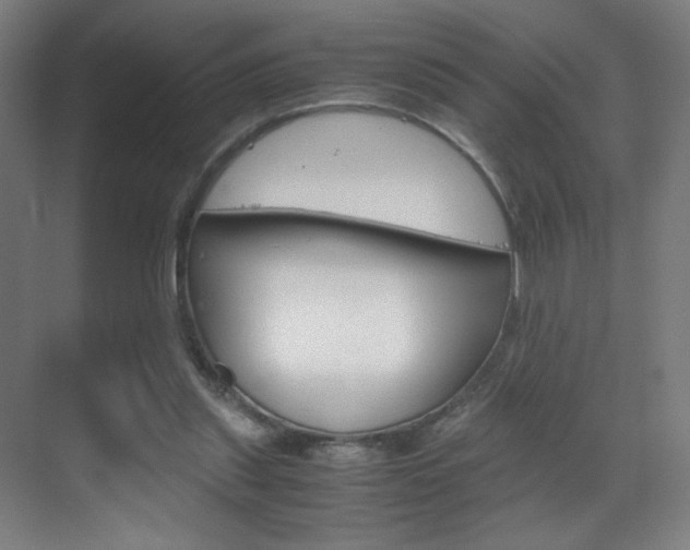 X0000070170253200605261012