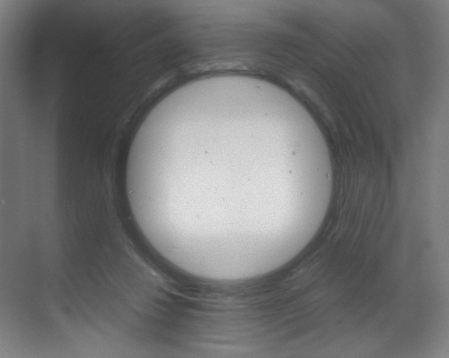 X0000070170260200605261012