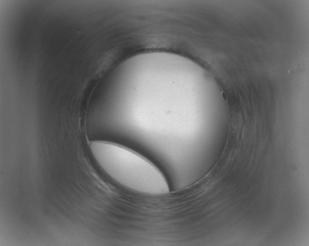 X0000070170261200605261012