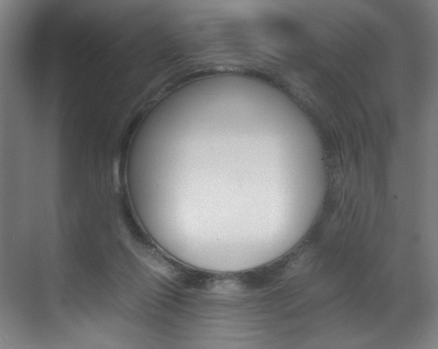 X0000070170262200605261012