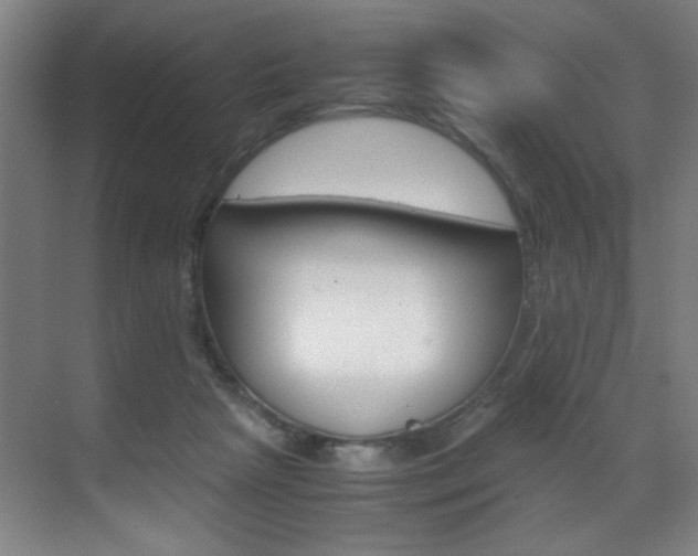 X0000070170265200605261012