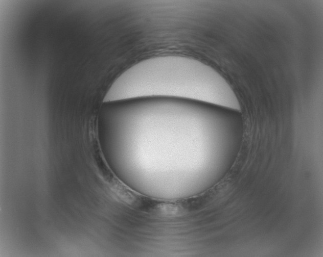 X0000070170272200605261012