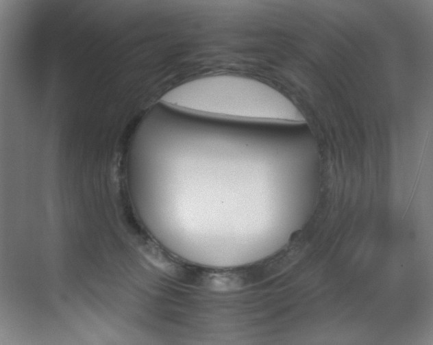 X0000070170275200605261012