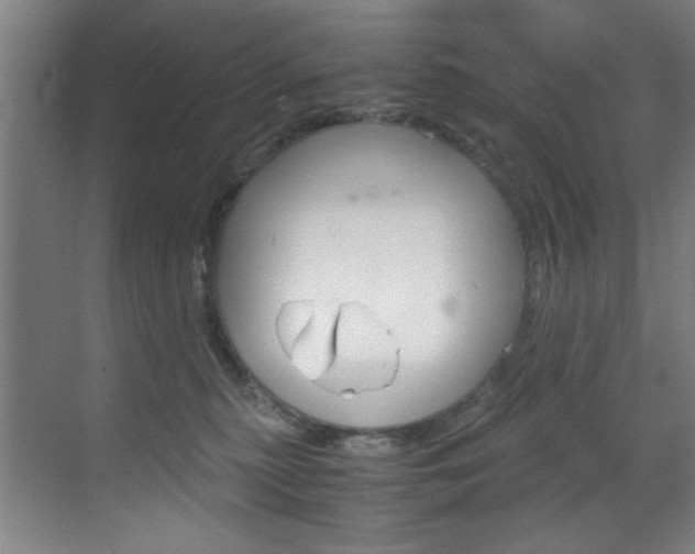 X0000070170279200605261012