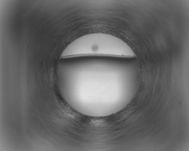 X0000070170283200605261012