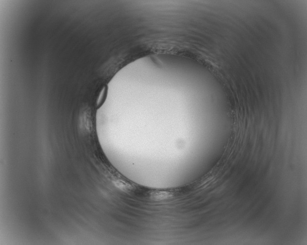 X0000070170287200605261012