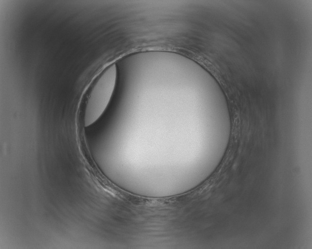 X0000070170290200605261012