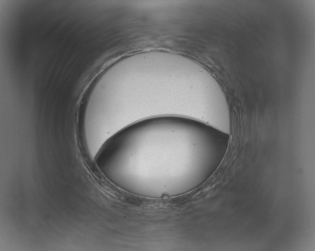 X0000070170291200605261011