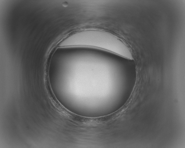 X0000070170293200605261011