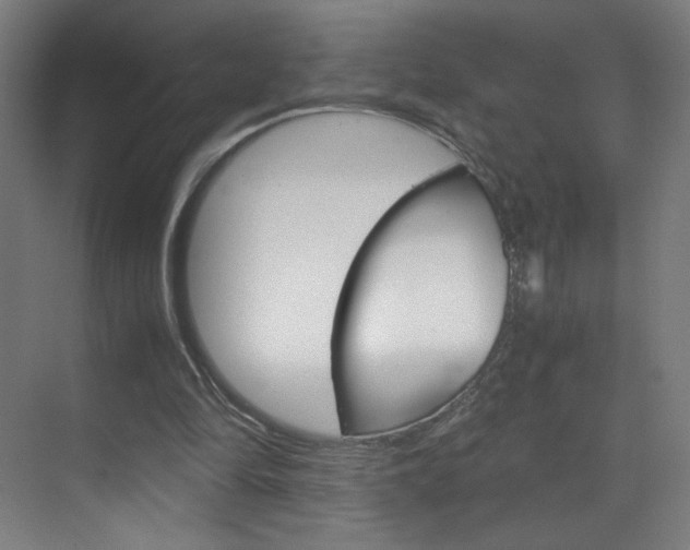 X0000070170294200605261011