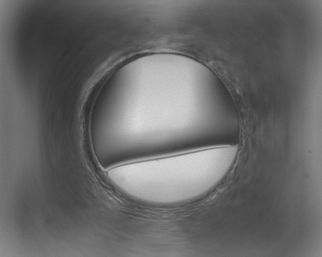X0000070170295200605261011